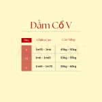 đầm cổ chữ v linen